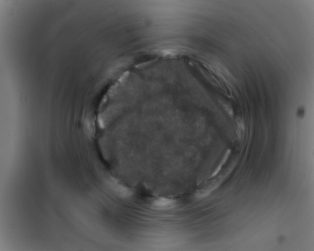 X0000100390718200807031949