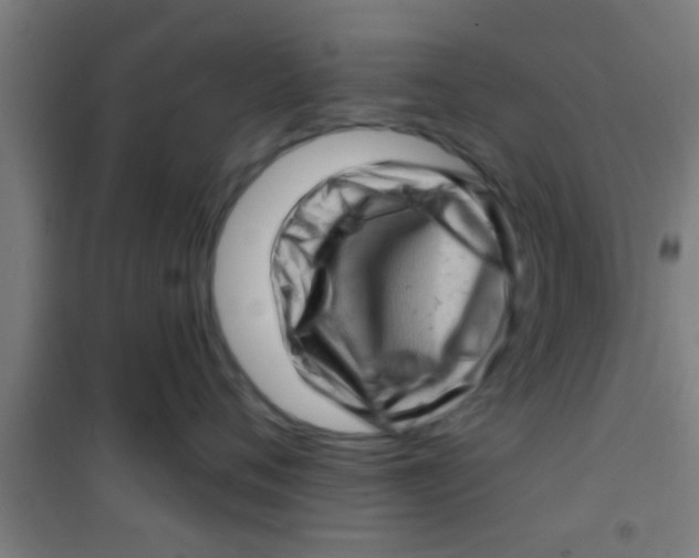 X0000100390720200807031949