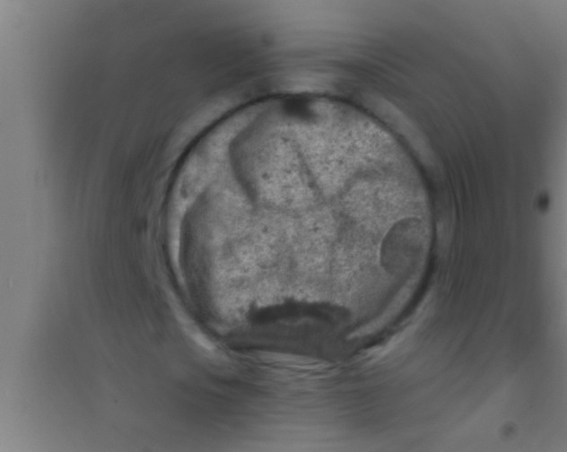 X0000100390721200807031948