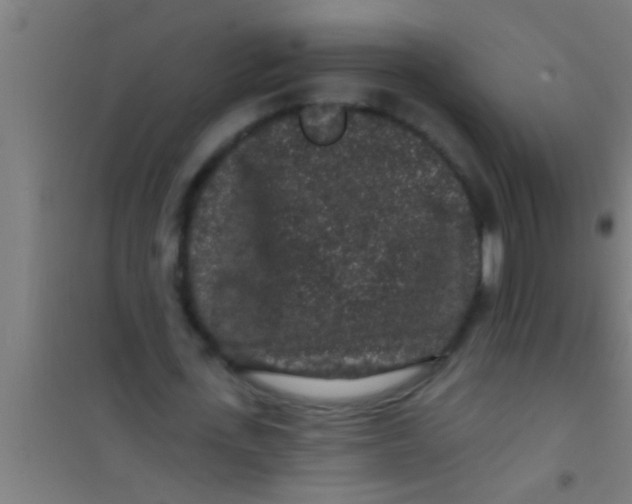 X0000100390723200807031948