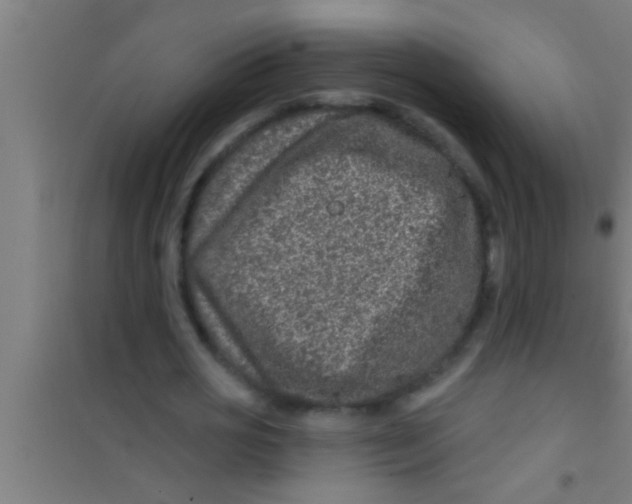 X0000100390725200807031948