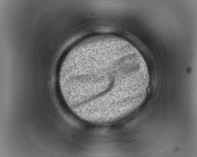 X0000100390728200807031949