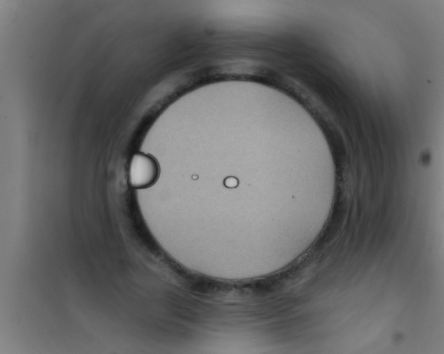 X0000100390731200807031949