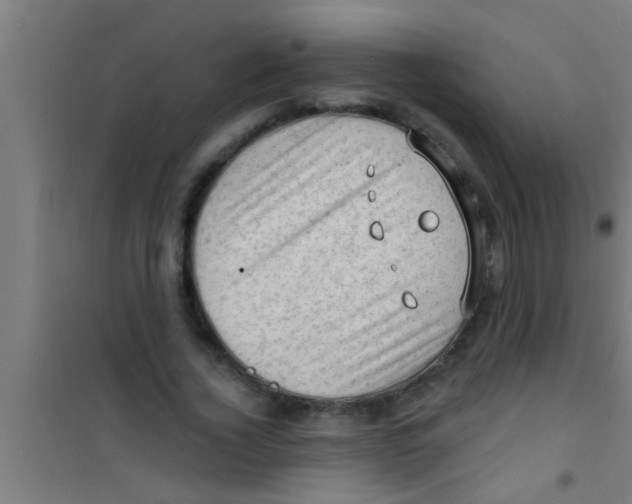 X0000100390732200807031949