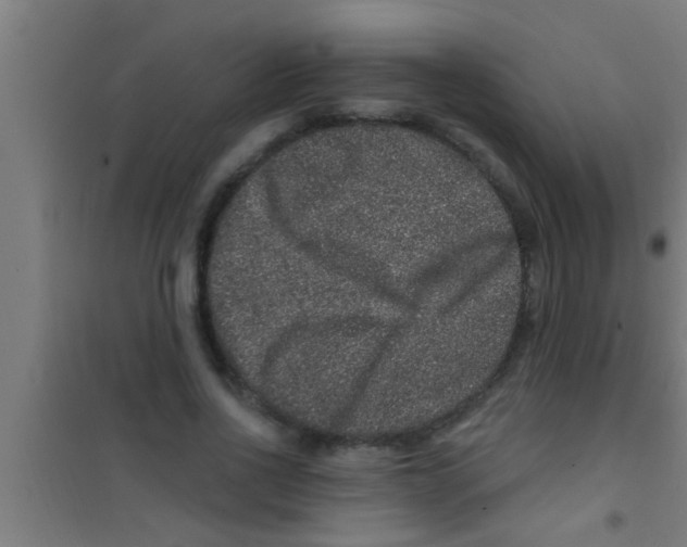 X0000100390734200807031949