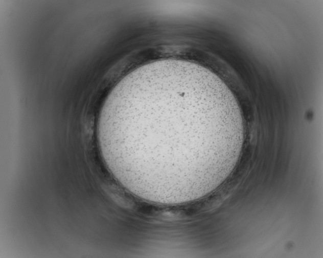 X0000100390737200807031949