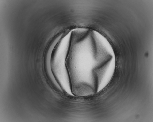 X0000100390738200807031949