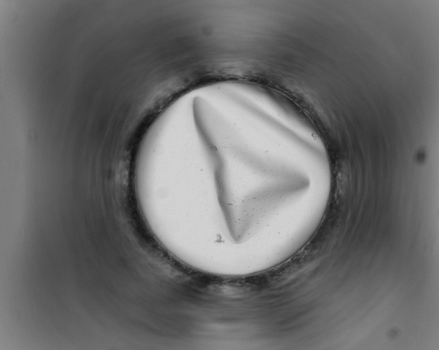 X0000100390739200807031949