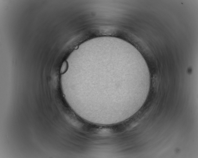 X0000100390741200807031949