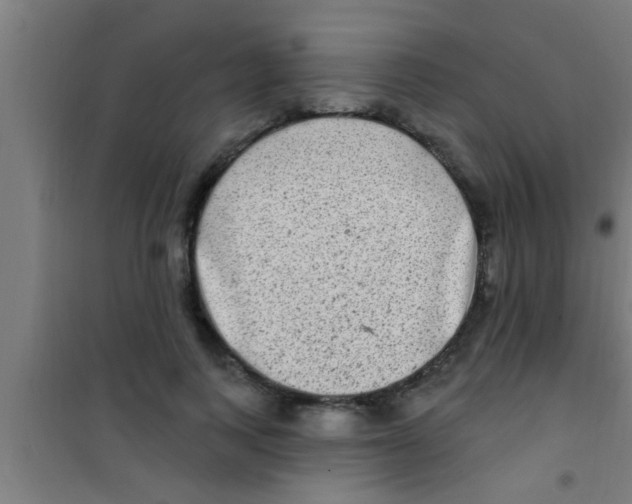 X0000100390743200807031949