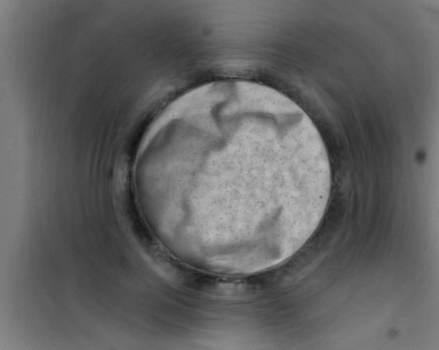 X0000100390744200807031949