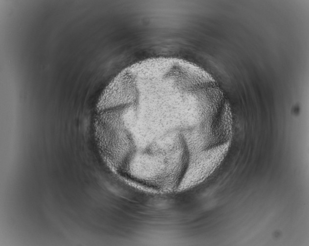 X0000100390745200807031949