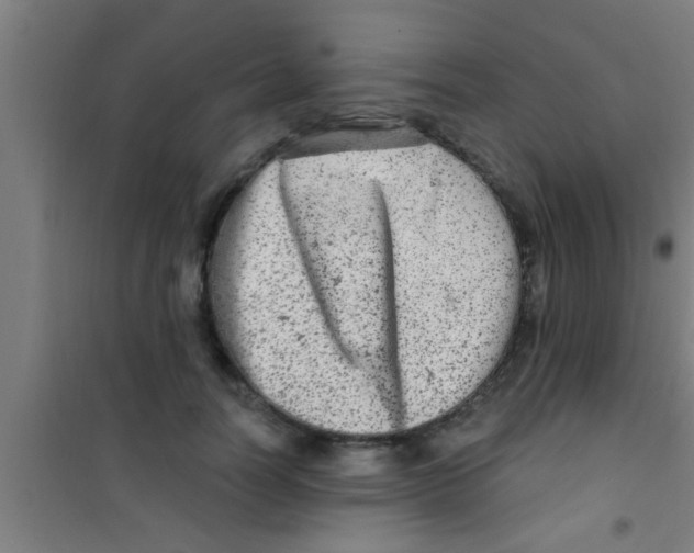 X0000100390746200807031949