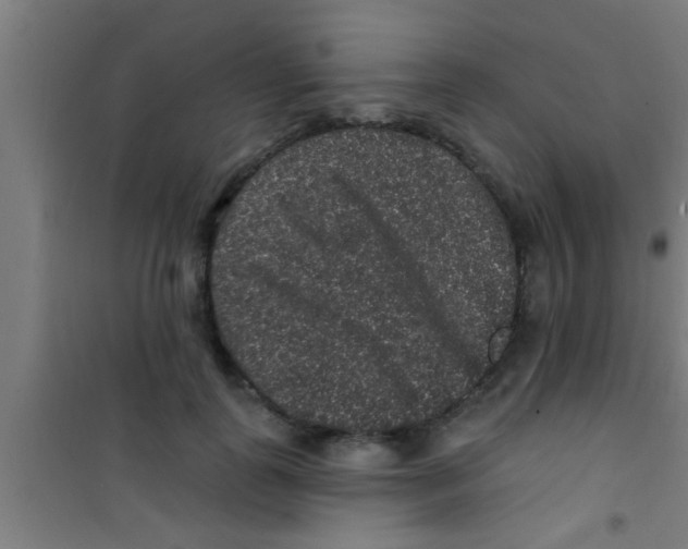 X0000100390747200807031949