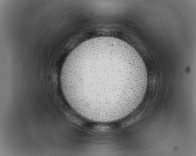 X0000100390749200807031949