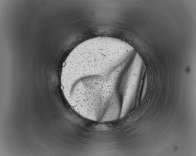 X0000100390751200807031949