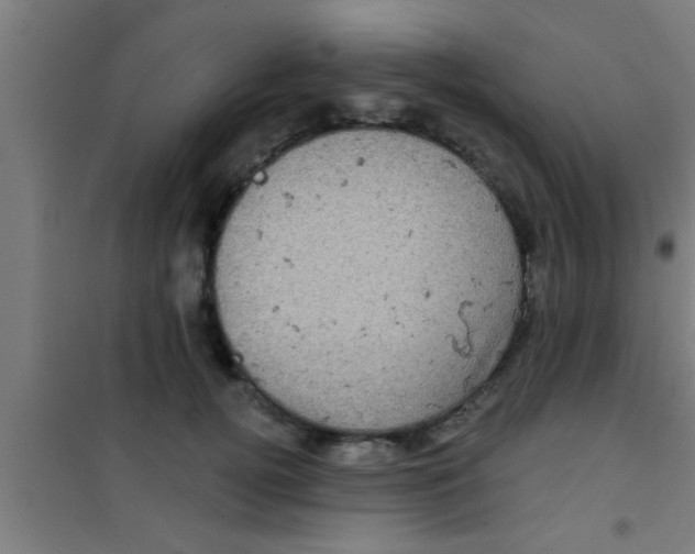 X0000100390752200807031949