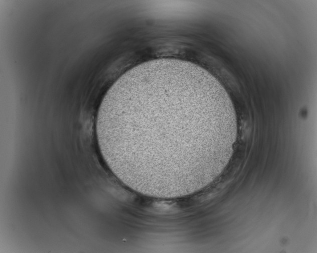 X0000100390753200807031949