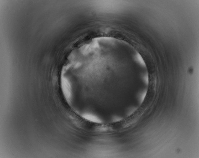 X0000100390754200807031949