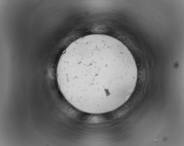 X0000100390755200807031949