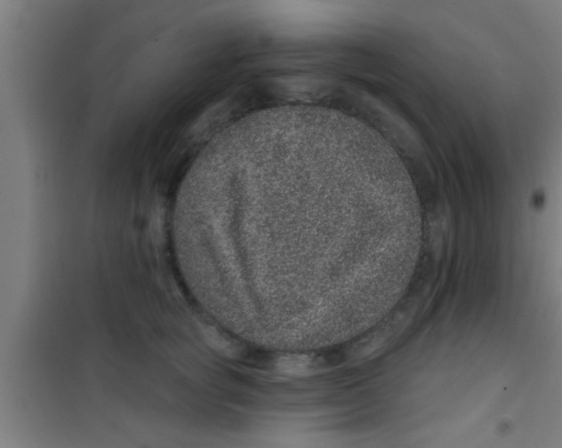 X0000100390757200807031949