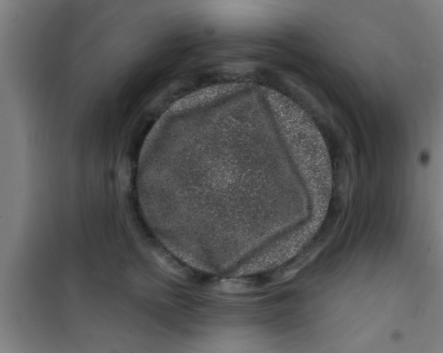 X0000100390758200807031949