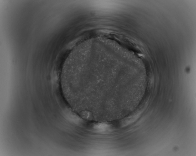 X0000100390759200807031949