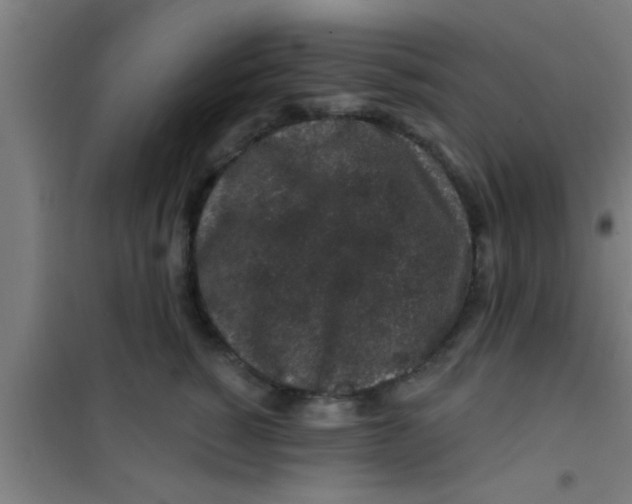 X0000100390760200807031949