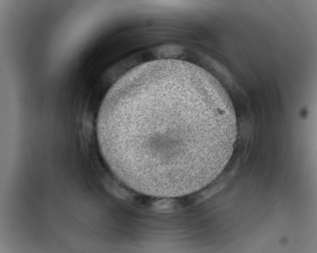 X0000100390761200807031949