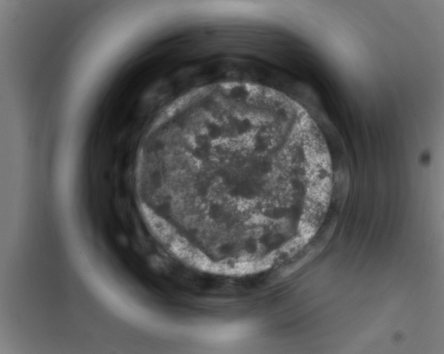 X0000100390765200807031949