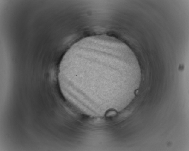 X0000100390768200807031949