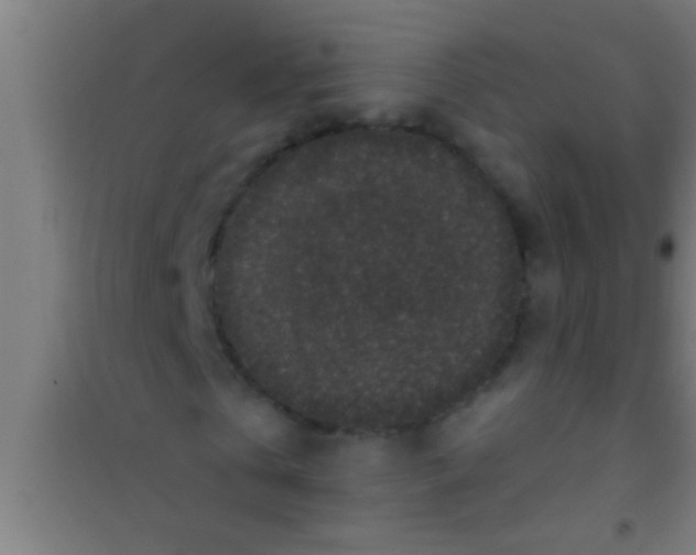 X0000100390769200807031948