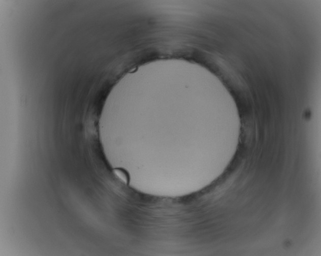 X0000100390770200807031948