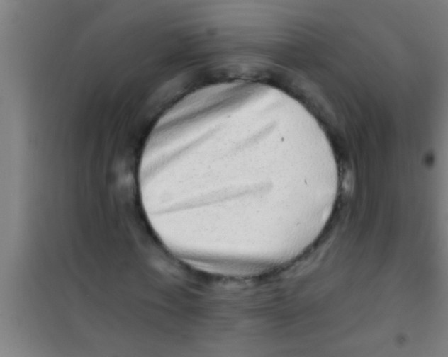 X0000100390771200807031948