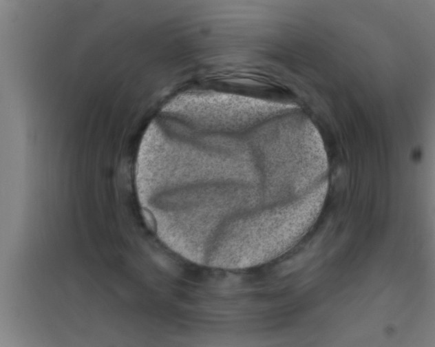 X0000100390772200807031948