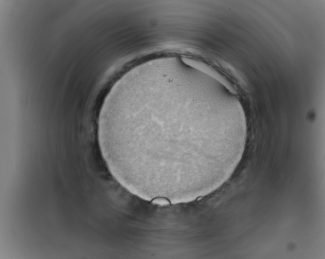 X0000100390776200807031948