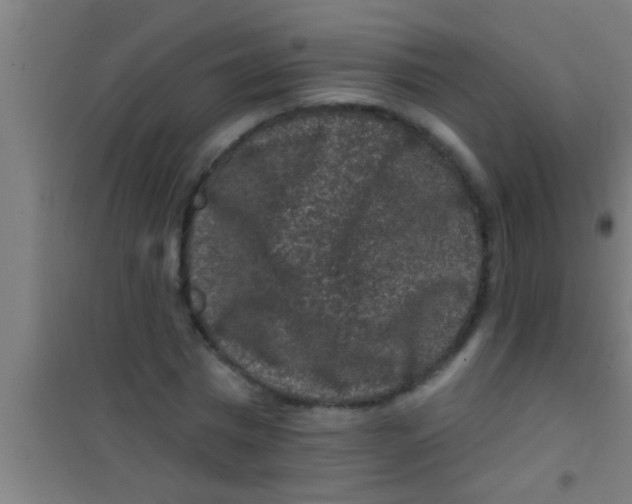 X0000100390777200807031948