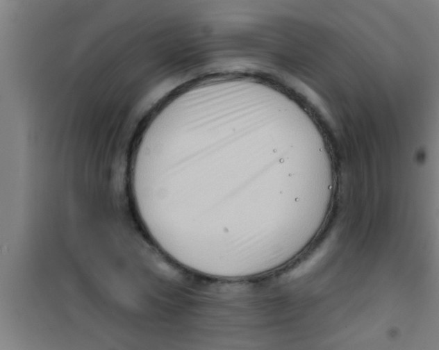 X0000100390778200807031948