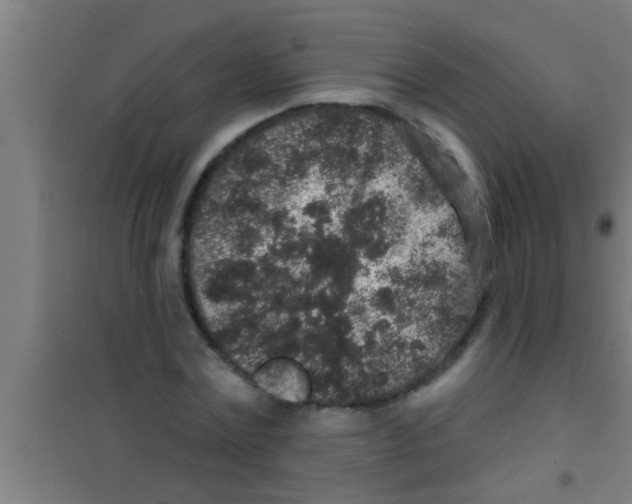 X0000100390779200807031948