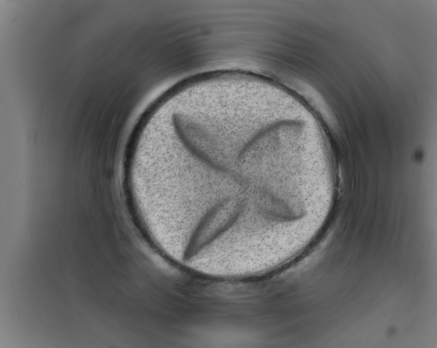 X0000100390780200807031948