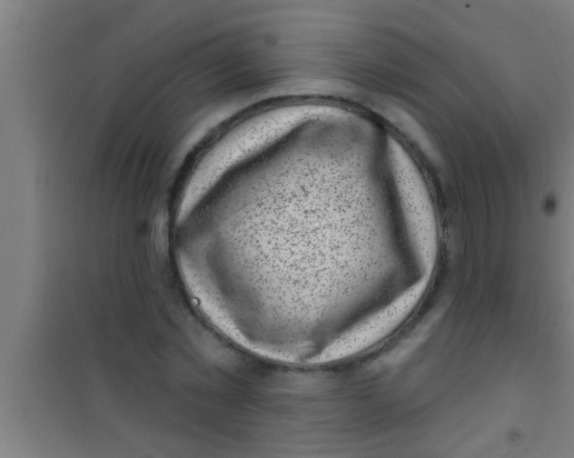 X0000100390781200807031948