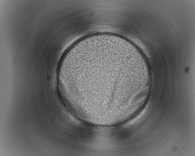 X0000100390782200807031948