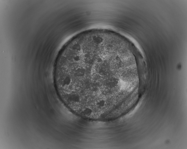 X0000100390783200807031948