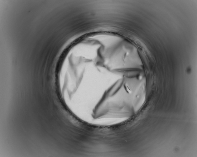 X0000100390784200807031948