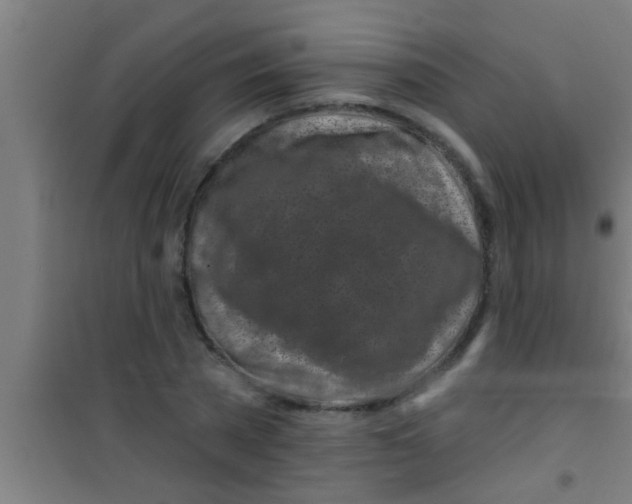 X0000100390785200807031948