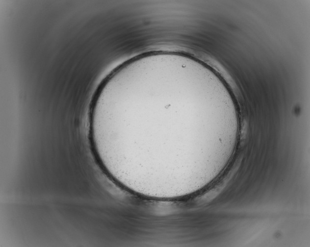 X0000100390787200807031948