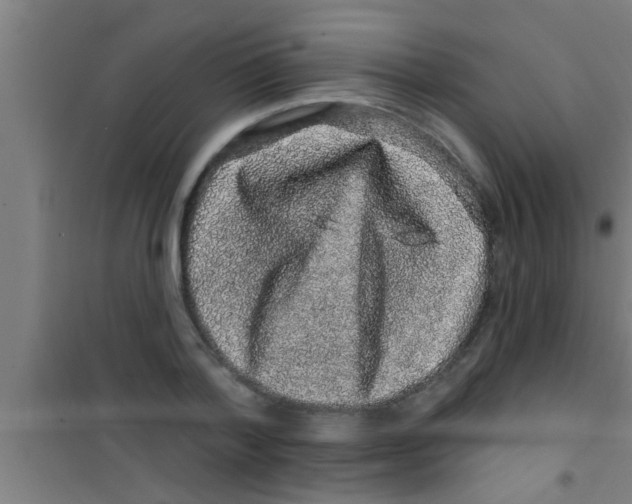 X0000100390788200807031948