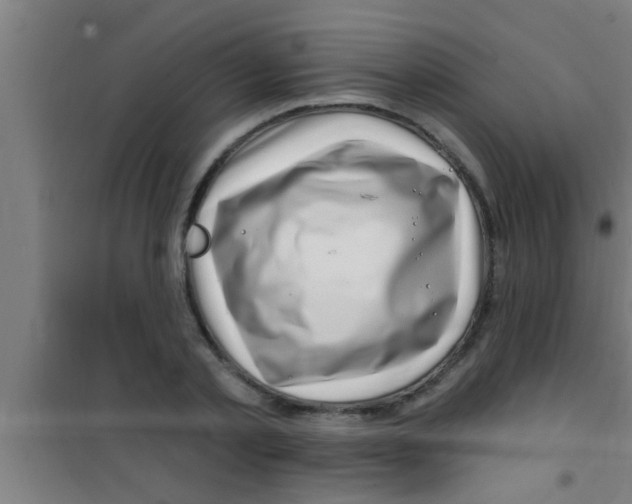 X0000100390789200807031948