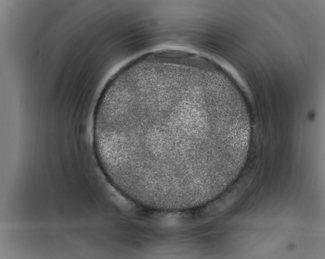 X0000100390791200807031948