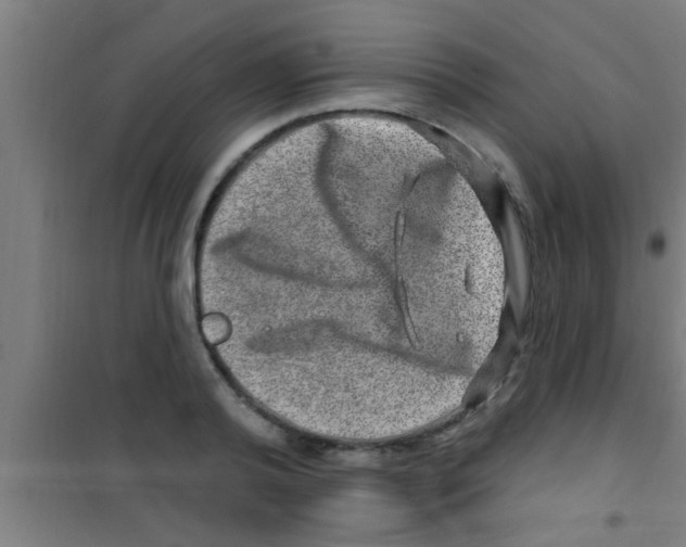 X0000100390792200807031948